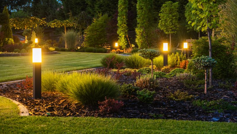 Backyard Lighting Service in Denver County, CO