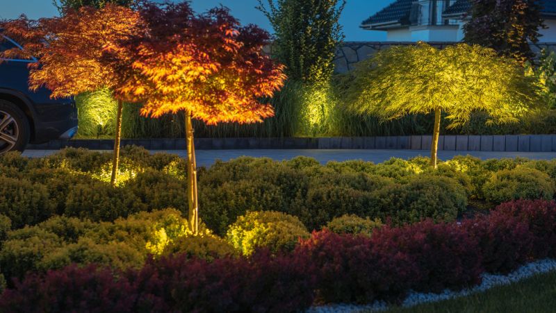 Landscape Lighting Installation